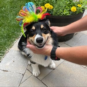 Meet your Posher, Carrie